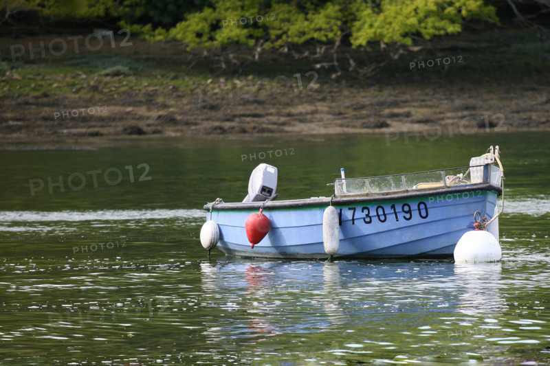 France, Bretagne, Finistere sud, Cornouaille, l'odet au niveau des vire court