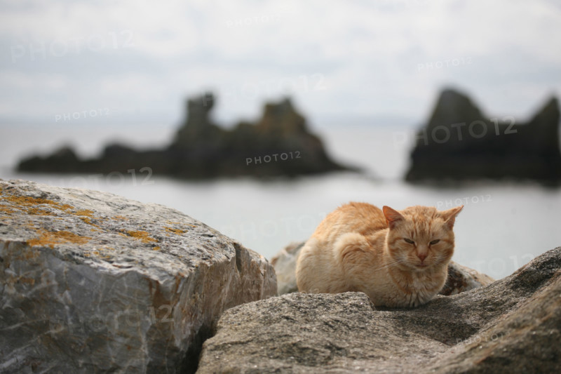 France, crozon peninsula