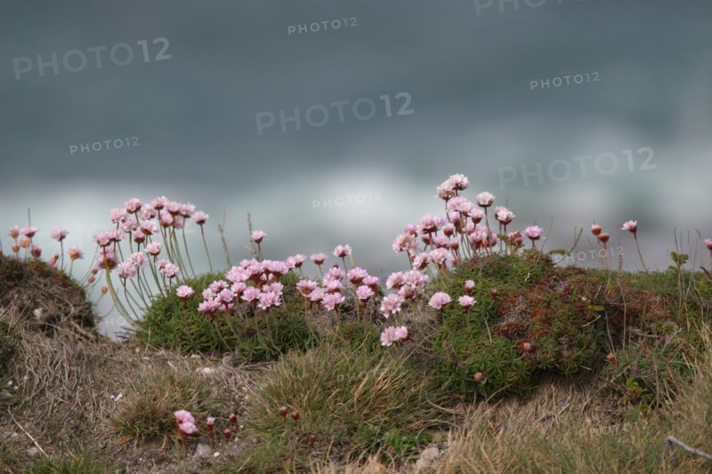 France, crozon peninsula