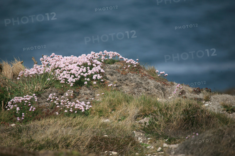 France, crozon peninsula