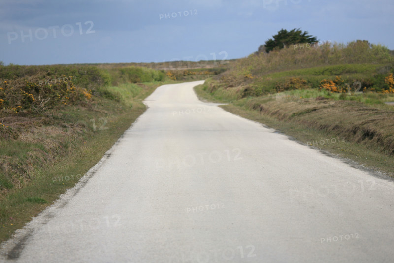 France, Bretagne, Finistere, presqu'ile de crozon, cap de la chevre, route deserte,