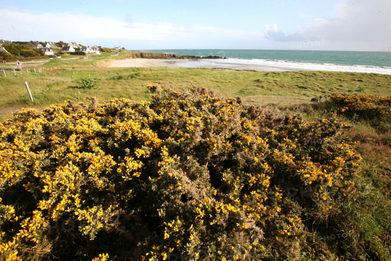 France, cornwall