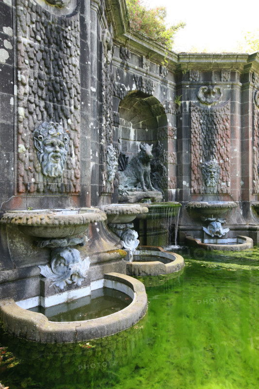 France, Bretagne, Finistere, parc et chateau de Trevarez, jardins, domaine de trevarez, departemental, foniane