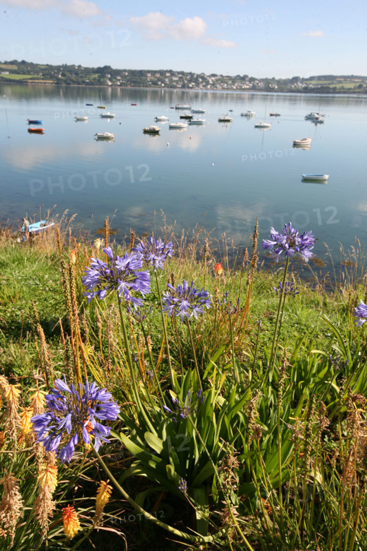 Landevennec (Bretagne)