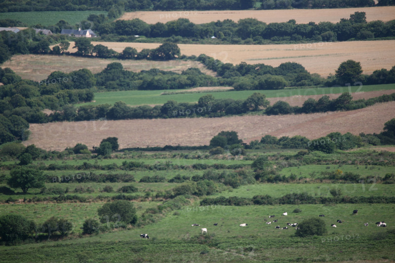 France, Bretagne, Finistere, Monts d'Arree, paysage, rochers, lande sauvage, au sommet du Roc'h Trevezel, panorama, bocage