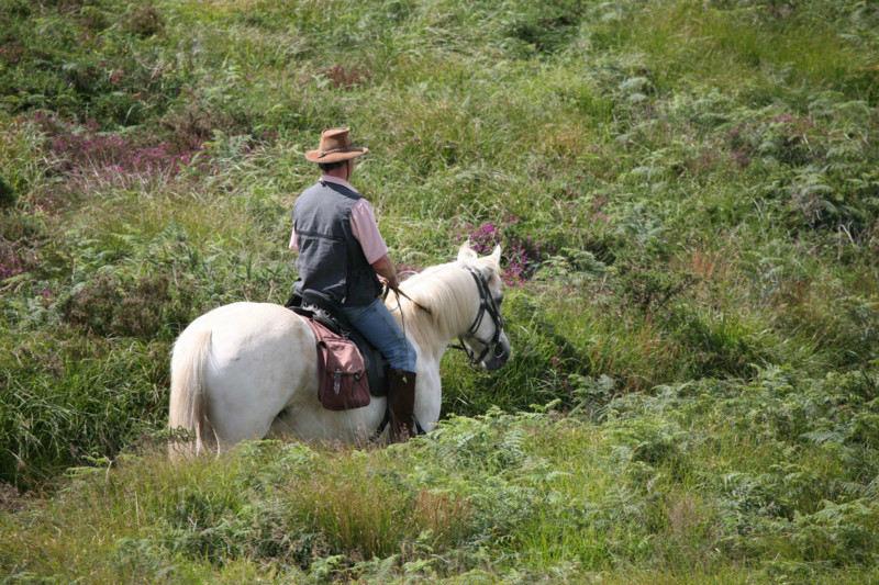 France, Bretagne, Finistere, monts d'arree, paysage, rochers, lande sauvage, randonnee equestre, cavalier, au sommet du roc'h trevezel