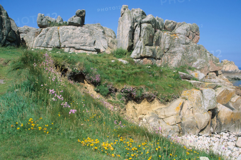 Ile de Bréhat (Bretagne)