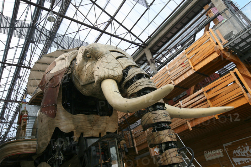 France, pays de loire, loire atlantique, Nantes, ile beaulieu, ile de nantes, les machines de l'ile, le grand elephant, promenade en ville, insolite,