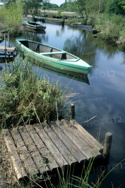 France, regional natural park of briere