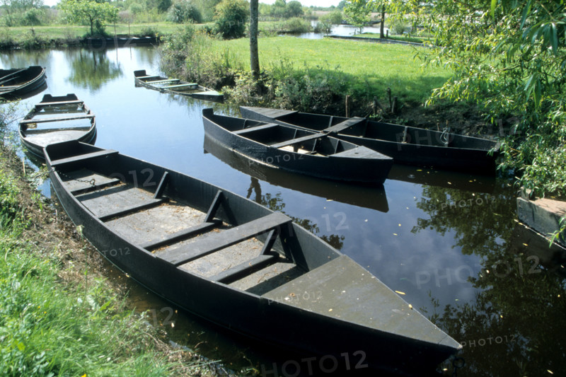 France, regional natural park of briere
