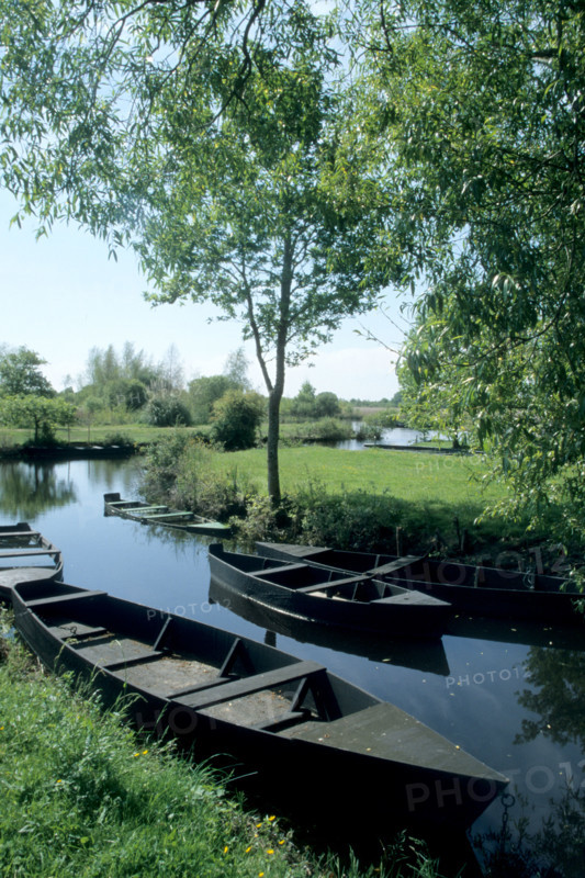 France, pays de loire, loire atlantique, parc naturel regional de briere, chaland amarre, barque, canal, la pierre fendue