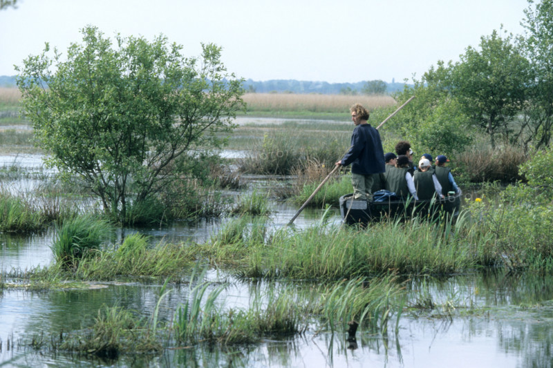 France, regional natural park of briere