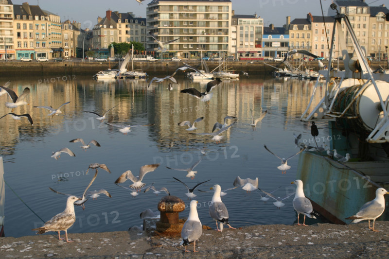 France, cotentin