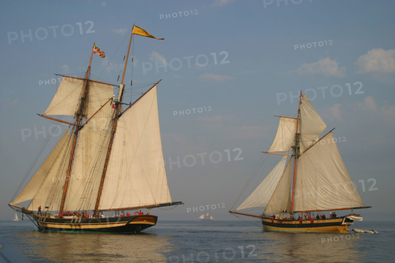 France, Basse Normandie, Manche, Cotentin, Cherbourg, rade, tall ships race 2005, grands voiliers, course, pride of baltimore, usa, et le renard, france,