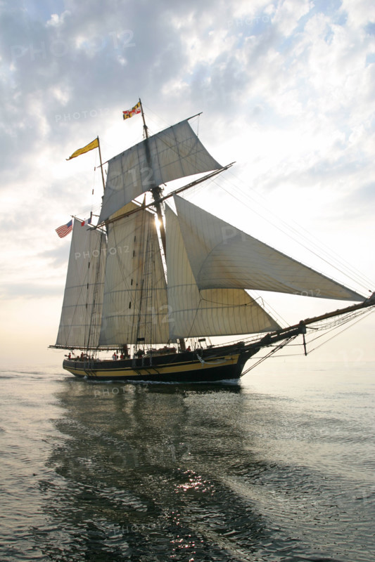 France, Basse Normandie, Manche, Cotentin, Cherbourg, rade, tall ships race 2005, grands voiliers, course,
