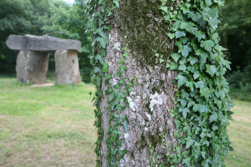France, Bretagne, Morbihan, bignan, centre d'art du domaine de kerguhennec,