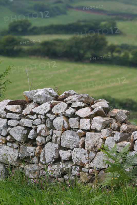 France, Basse Normandie, Manche, Cotentin, cap de la hague, jobourg, muret de pierre traditionnel, fleurs, panorama,