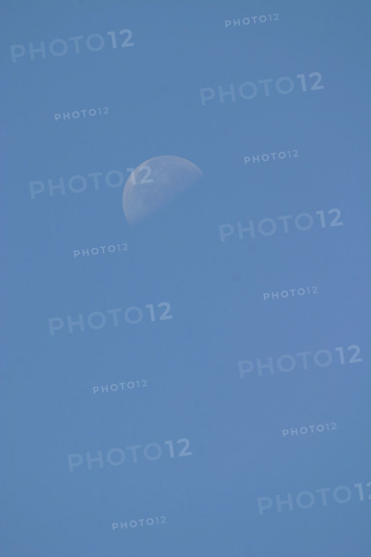 France, Basse Normandie, Manche, pays de la baie du Mont-Saint-Michel, 
quartier de lune dans le ciel bleu,
