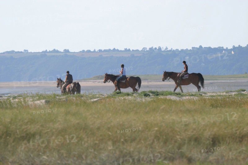 France, Basse Normandie, Manche, pays de la baie du Mont-Saint-Michel, 
le bec d'Andaine, chevaux a l'entrainement, dunes,