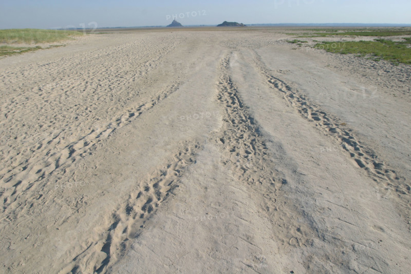 France, Basse Normandie, Manche, pays de la baie du Mont-Saint-Michel, 
le bec d'Andaine, traces de passage dans le sable, maree basse,