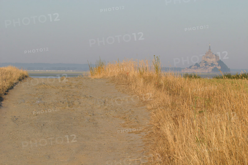 France, Basse Normandie, Manche, pays de la baie du Mont-Saint-Michel, 
le grouin du sud, chemin entre les herbes,