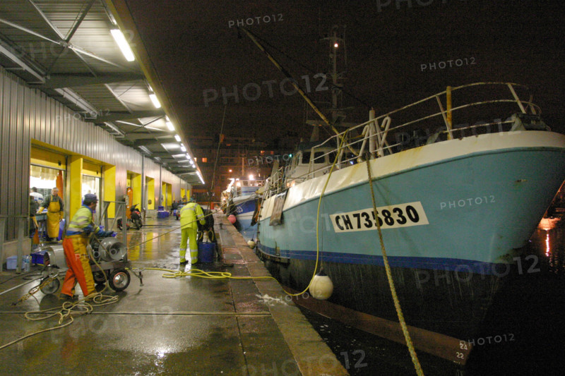 France, Basse Normandie, Manche, Cotentin, Cherbourg, bassin du commerce, centre de maree, debarque de nuit d'un chalutier a quai, lumieres de la ville,