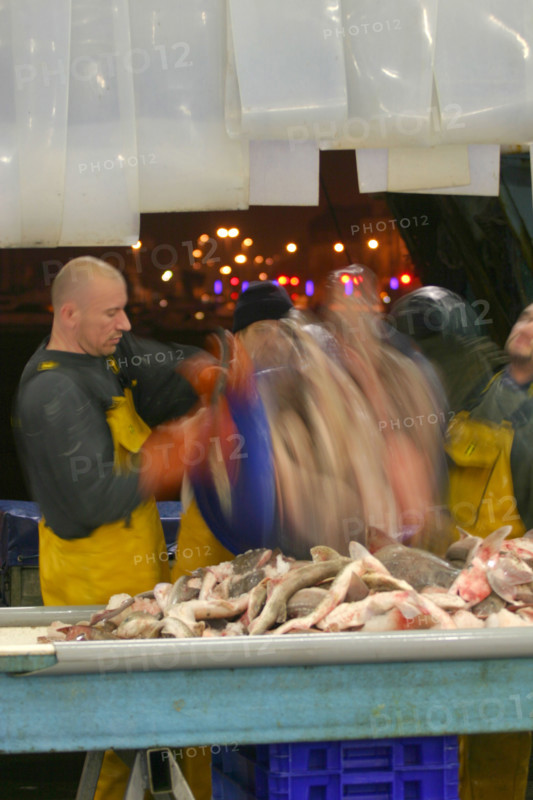 France, cotentin