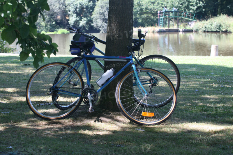 France, Bretagne, Morbihan, montertelot, canal de nantes a brest, velos poses contre un arbre, cyclotourisme, pause,