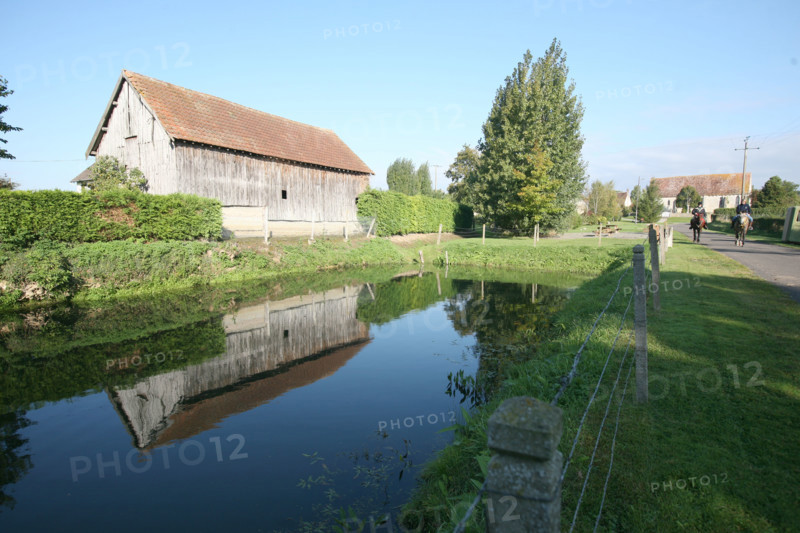 France, Basse Normandie, orne, pays d'auge ornais, randonnee a cheval autour de Medavy et de son chateau