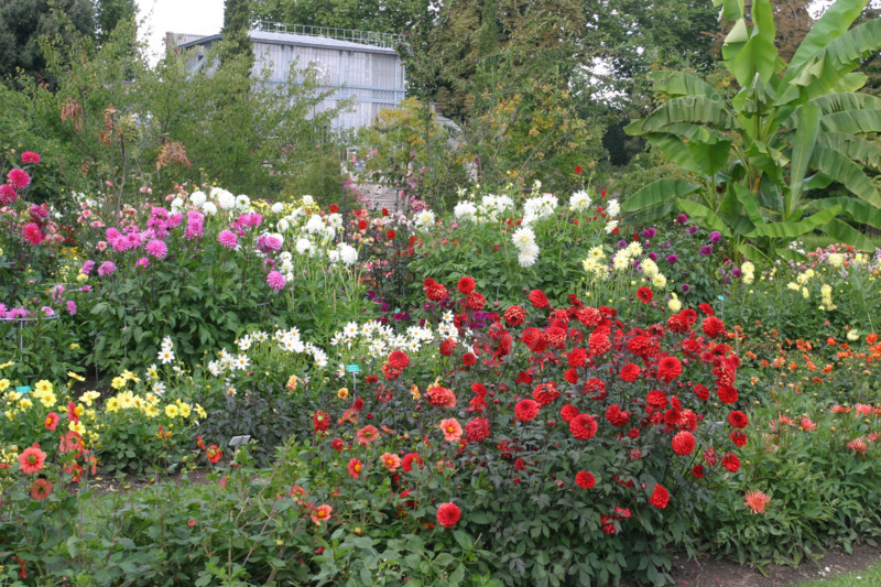 France, rouen