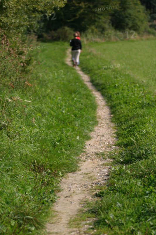 France, Haute Normandie, Seine Maritime, pays de la bresle maritime, chemin des etangs, herbe, etangs de la bresle, randonnee, 
incheville