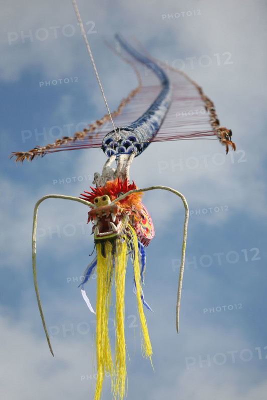 France, Haute Normandie, Seine Maritime, Dieppe, festival des cerfs volants 2008