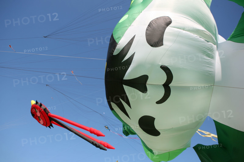France, Haute Normandie, Seine Maritime, Dieppe, festival des cerfs volants 2008