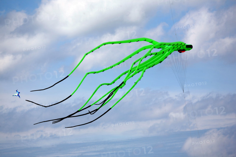 France, Haute Normandie, Seine Maritime, Dieppe, plage, galets, mer, festival des cerfs volants 2008, chouette, immeuble,