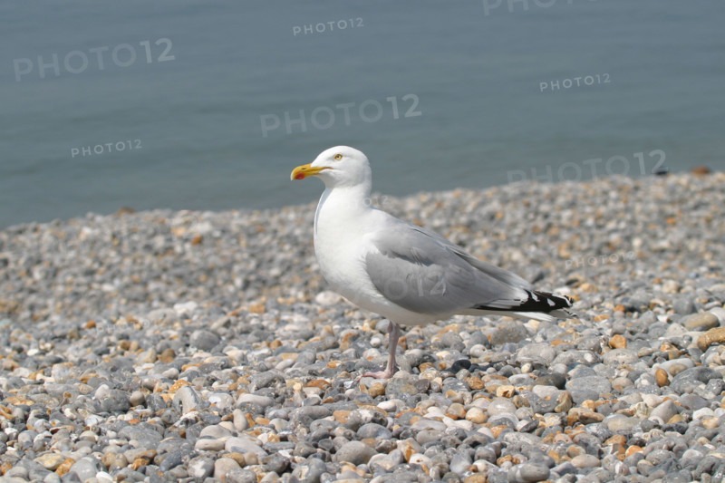 France, dieppe
