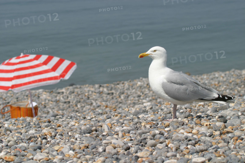 France, dieppe
