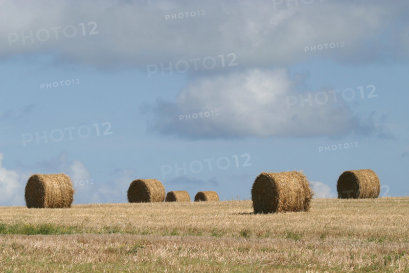 France, Haute Normandie, Seine Maritime, pays de Caux, veulettes sur mer, roundballers, paille, agriculture, ciel nuageux,