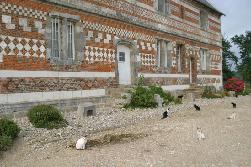 France, pays de caux maritime
