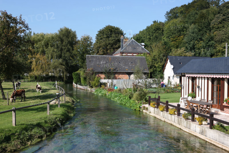 France, Haute Normandie, Seine Maritime, pays de Caux maritime, Hericourt-en-Caux, vallee de la Durdent, riviere, maison, vaches,