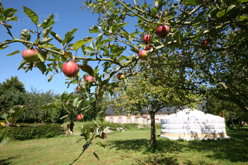 France, Haute Normandie, Seine Maritime, pays de Caux maritime, Paluel, hebergement rando-yourte, 
location de yourtes, tente mongole, pommes et pommier,