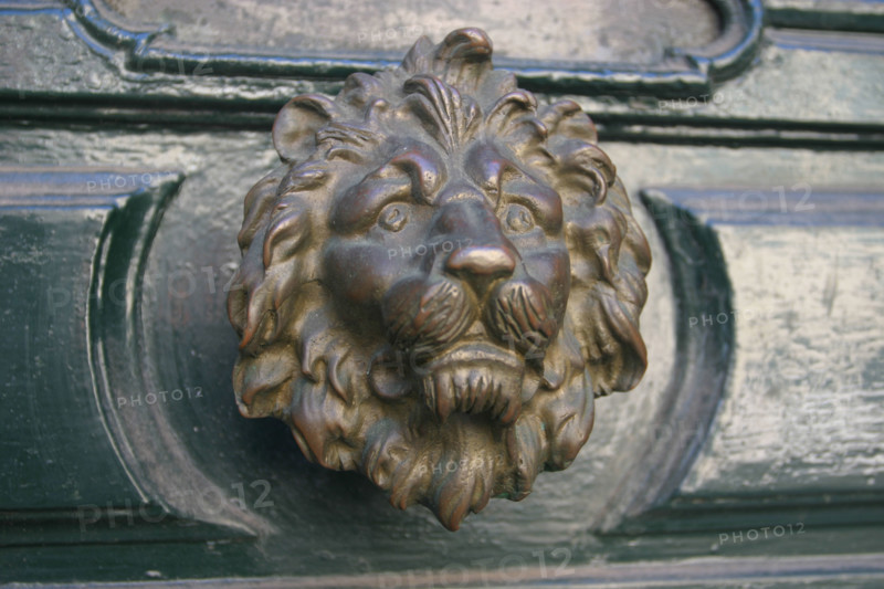 France, Haute Normandie, Seine Maritime, Rouen, quartier des hotels particuliers, bouton de porte, lion, 
rue saint patrice