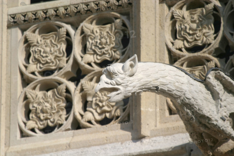 France, Haute Normandie, Seine Maritime, Rouen, palais de justice, tribunal, institution, monument historique restaure en 2007, gargouilles au role purement decoratif dans la cour d'honneu, fenestrage de la facade du palais royal