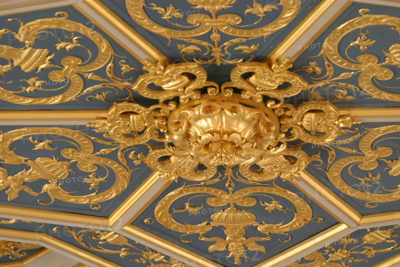 France, Haute Normandie, Seine Maritime, Rouen, palais de justice, tribunal, institution, monument historique restaure en 2007, neo gothique, detail d'ornement du plafond a caissons de la cour d'assises.