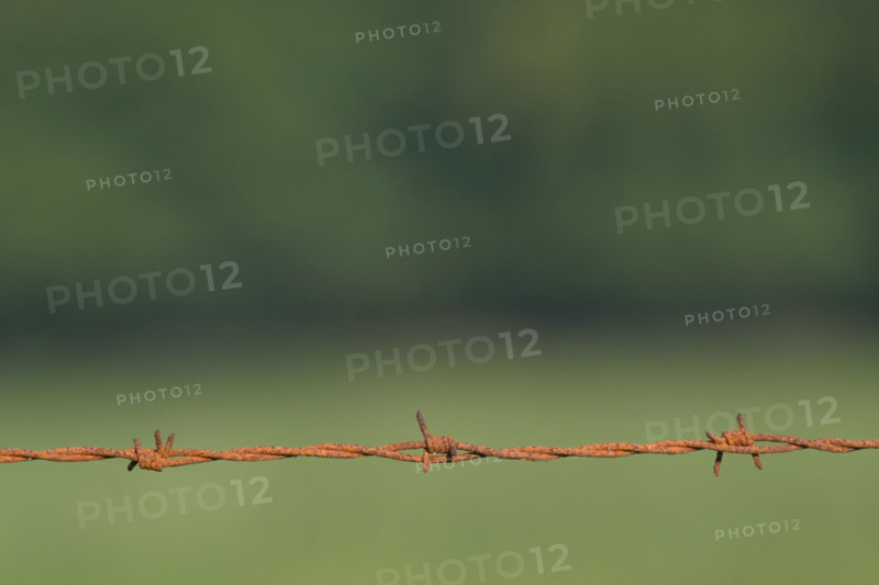 France, barbed wire