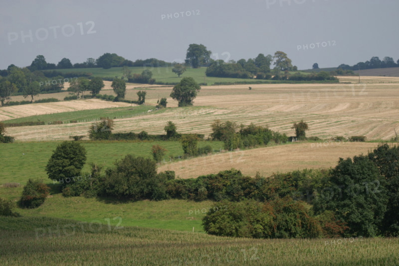 France, Haute Normandie, Seine Maritime, pays de bray, paysage des environs de gournay, champs, panorama, agriculture,
