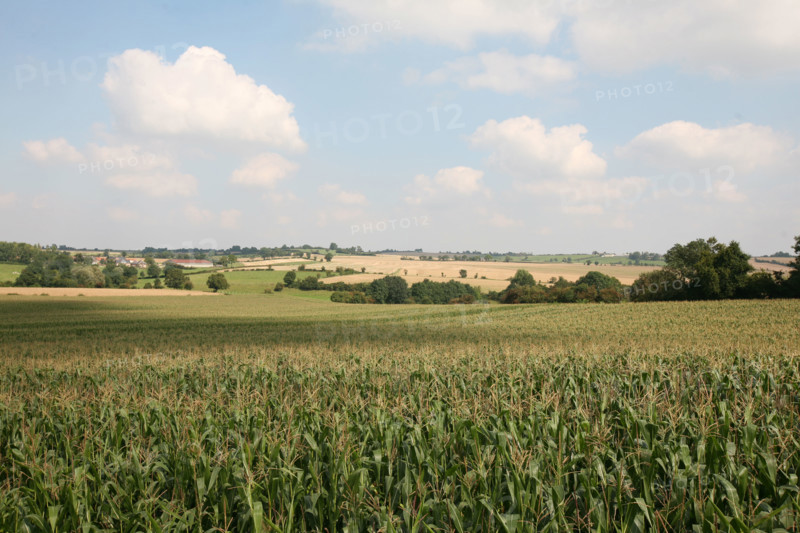 France, Haute Normandie, Seine Maritime, pays de bray, paysage des environs de gournay, champs, panorama, agriculture,