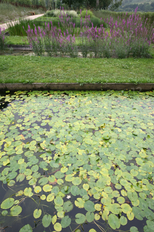 France, Haute Normandie, Seine Maritime, vallee de la Seine, gruchet le valasse, parc EANA, consacre au developpement durable, environnement, bassin d'epuration naturelle,