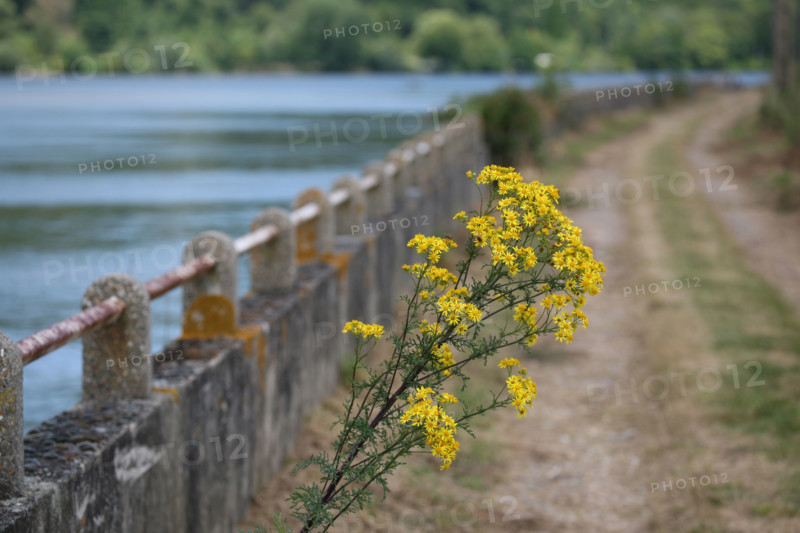 France, vallee de la seine
