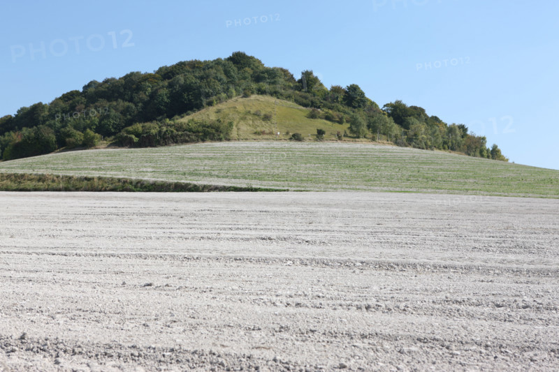 France, Haute Normandie, Seine Maritime, pays de bray, mesnieres en bray, autour de la voie verte, le mont amador, champ