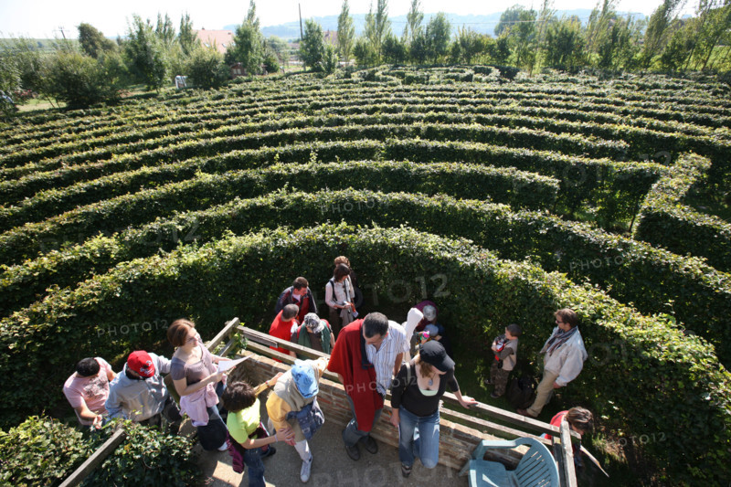 France, Haute Normandie, Seine Maritime, pays de bray, massy, labyrinthe vegetal artmazia, fonde par l'artiste Geoff Troll,